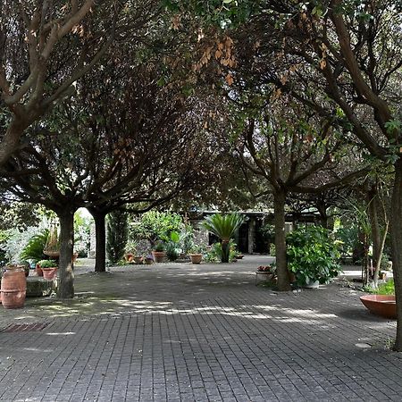 Borgo De' Paolis Apartman Grottaferrata Kültér fotó