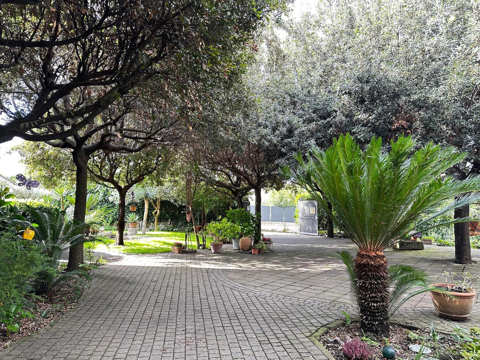 Borgo De' Paolis Apartman Grottaferrata Kültér fotó